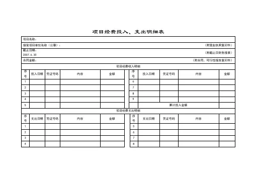 项目经费投入、支出明细表