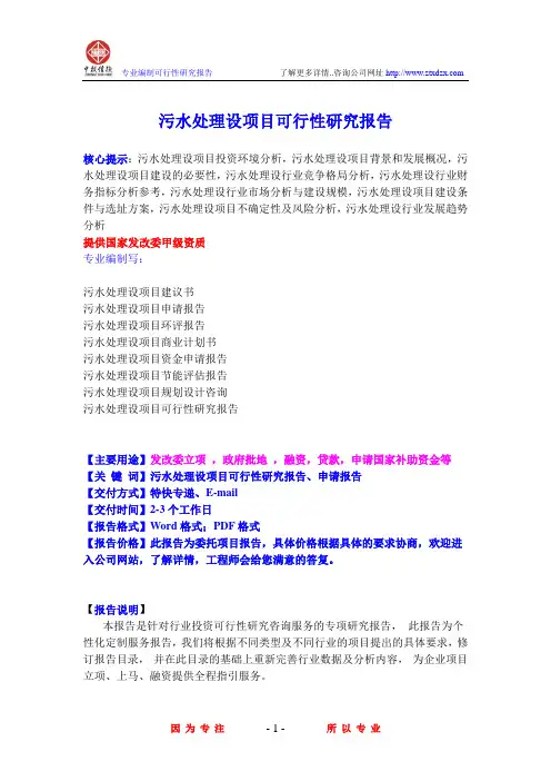 污水处理设项目可行性研究报告