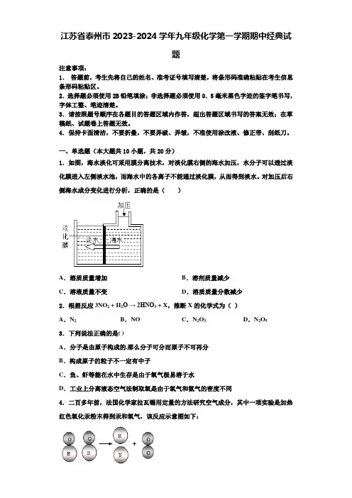 江苏省泰州市2023-2024学年九年级化学第一学期期中经典试题含解析