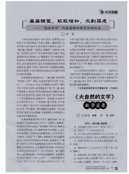 《大自然的文字》教学实录
