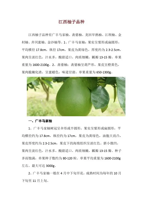 江西柚子品种