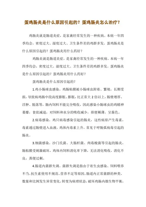 蛋鸡肠炎是什么原因引起的？蛋鸡肠炎怎么治疗？