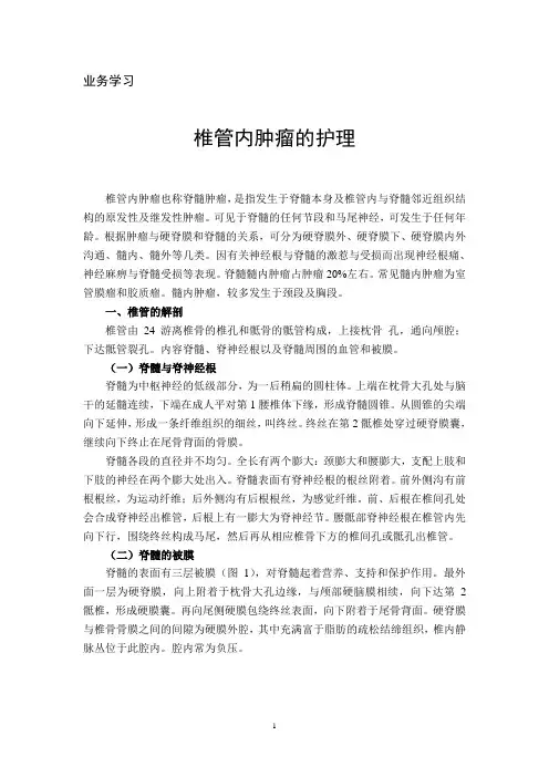 椎管内肿瘤的护理-1