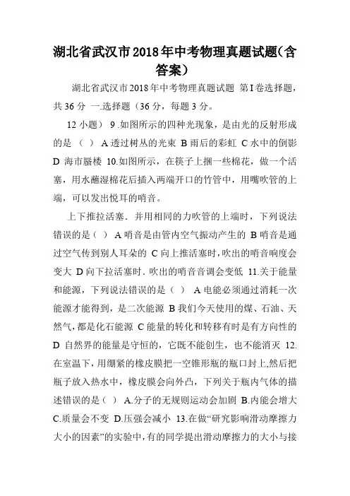 湖北省武汉市2018年中考物理真题试题(含答案).doc