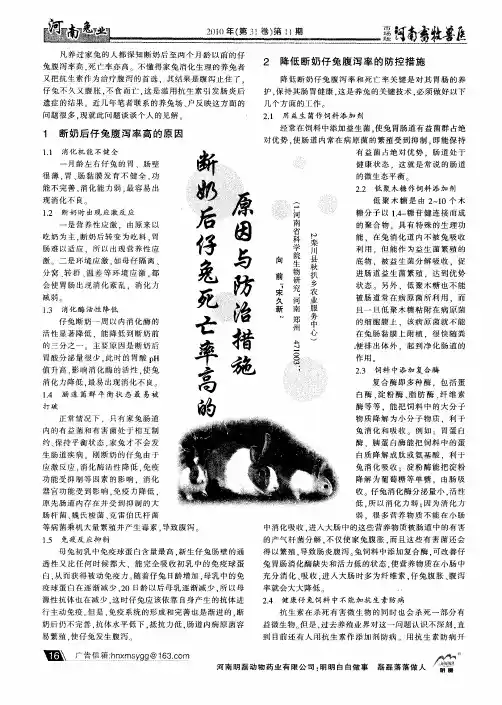 断奶后仔兔死亡率高的原因与防治措施