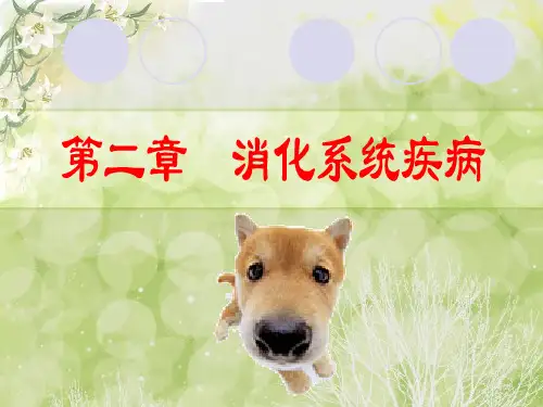 兽医内科学-第二章  消化系统疾病
