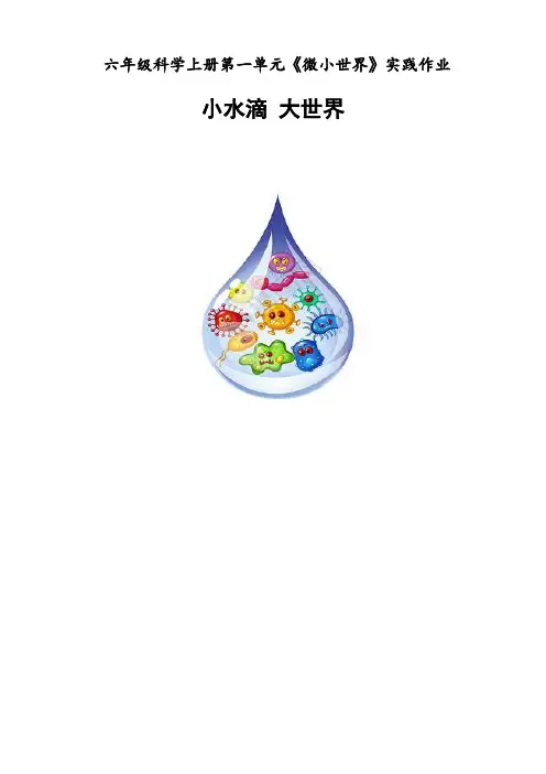 六年级上册科学第一单元《微小世界》实践性作业