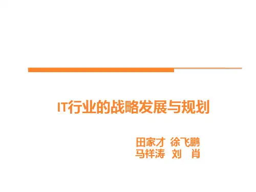 电子商务的发展PPT课件