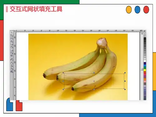 交互式网状填充工具