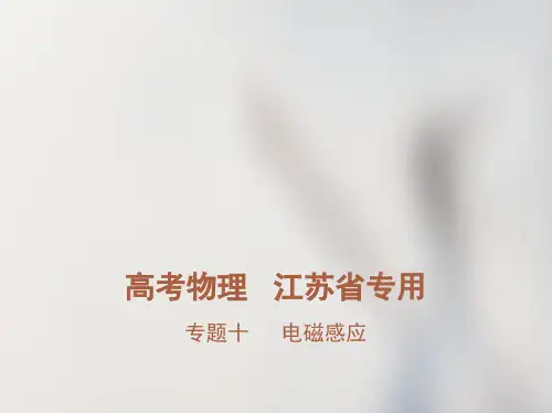 专题十电磁感应(讲解部分)(完整版)