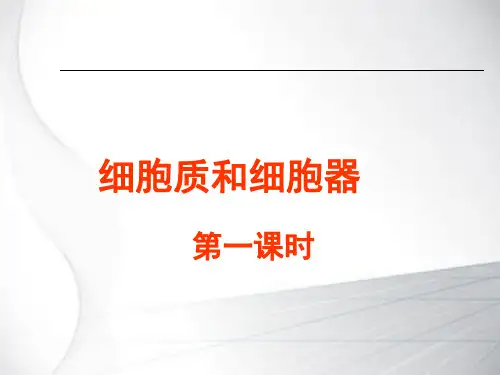 细胞质和细胞器