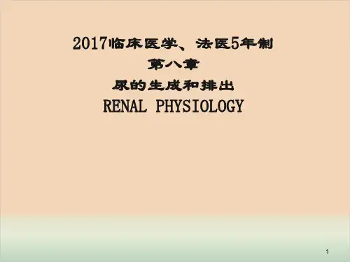 生理学课件之泌尿
