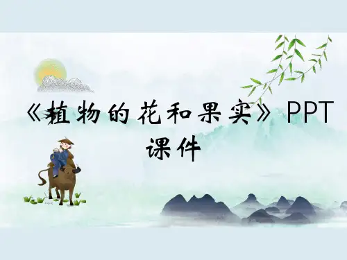 《植物的花和果实》PPT课件
