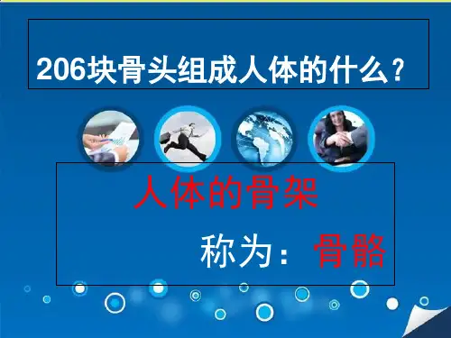 苏教版四年级下册科学课件：骨骼1(共14页)PPT