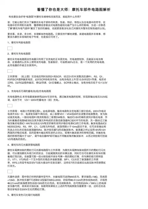 看懂了你也是大师：摩托车部件电路图解析