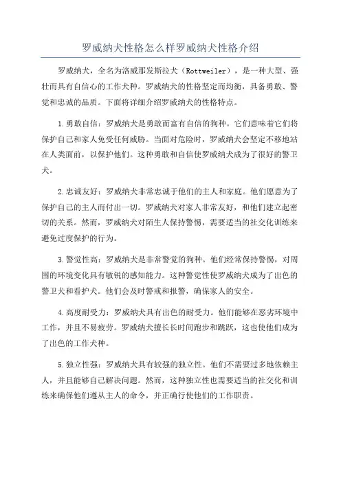 罗威纳犬性格怎么样罗威纳犬性格介绍
