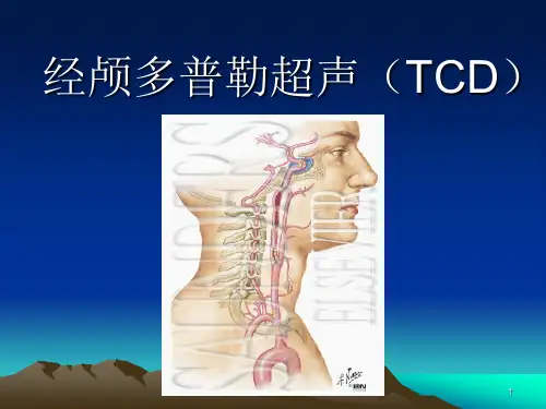 经颅多普勒超声ppt课件