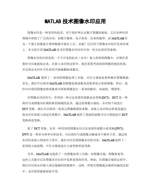 MATLAB技术图像水印应用