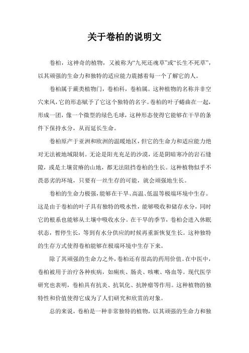 关于卷柏的说明文