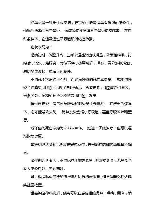 猫鼻支的症状