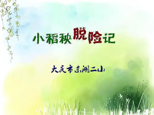 小稻秧脱险记.PPT课件