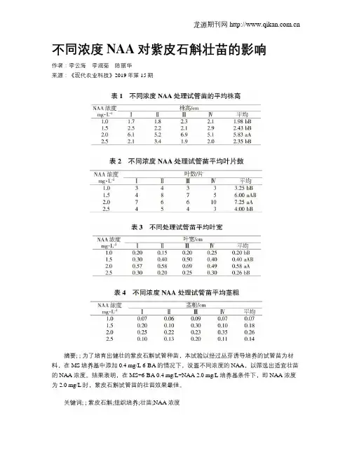 不同浓度NAA对紫皮石斛壮苗的影响