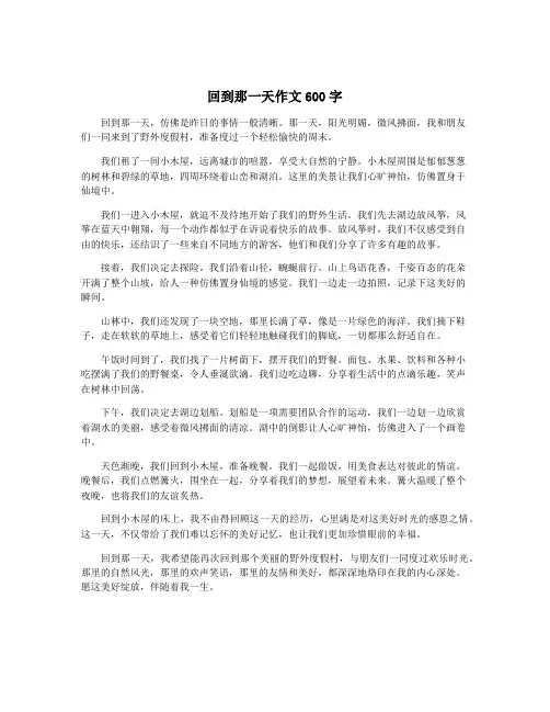 回到那一天作文600字