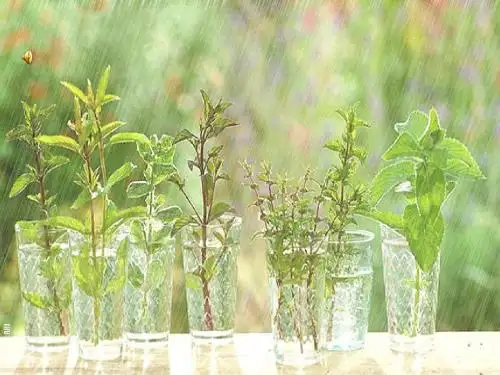 人教新课标一年级语文上册《雨点儿 》PPT课件