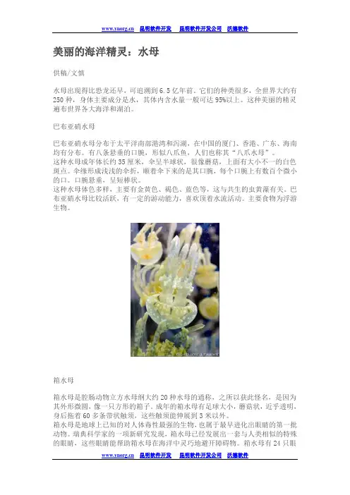 美丽的海洋精灵：水母
