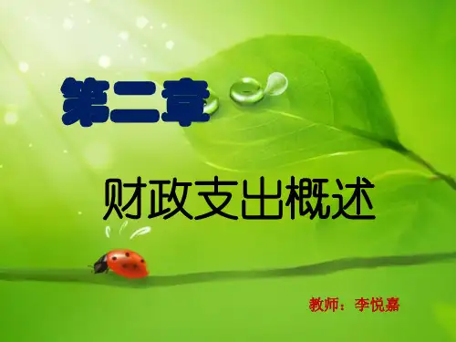第二章财政支出案例