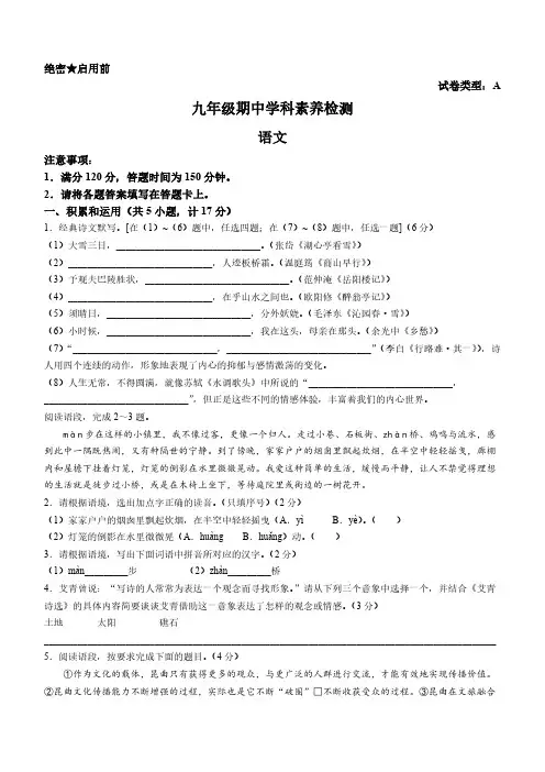 陕西省安康市岚皋县2023-2024学年九年级上学期期中考试语文试题(含答案)