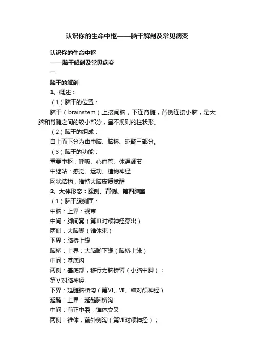 认识你的生命中枢——脑干解剖及常见病变