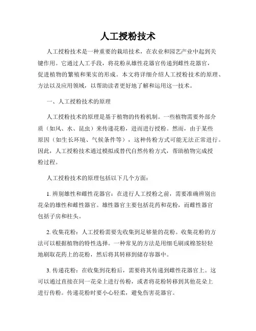 人工授粉技术