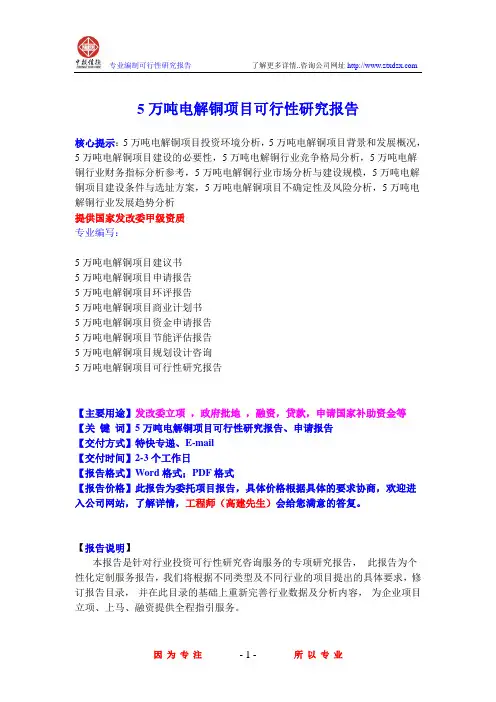 5万吨电解铜项目可行性研究报告
