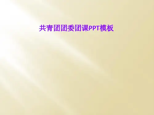 共青团团委团课PPT模板