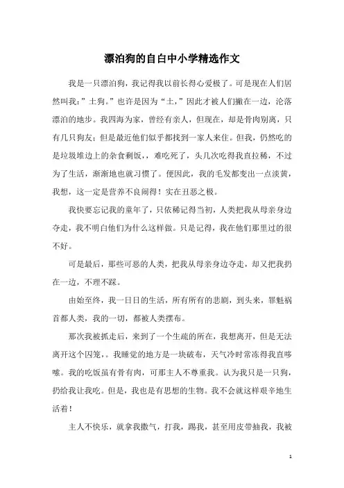 漂泊狗的自白中小学精选作文
