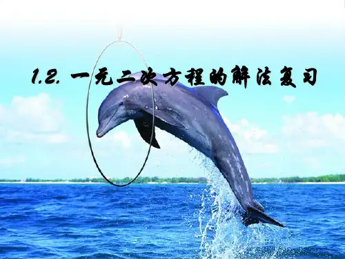 苏教九年级数学上册《一元二次方程的解法》课件