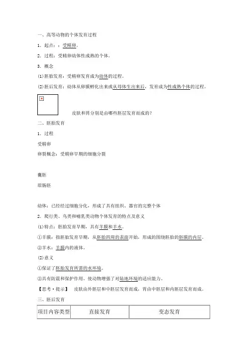 高等动物的个体发育过程