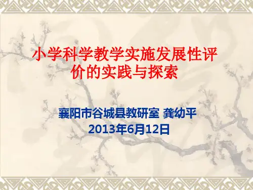 00科学教学发展性评价