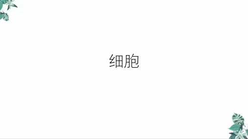 浙教版科学中考复习细胞(33张)