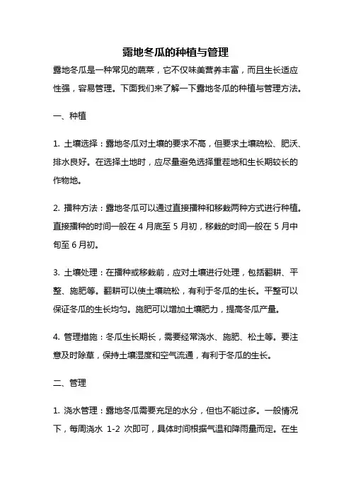 露地冬瓜的种植与管理