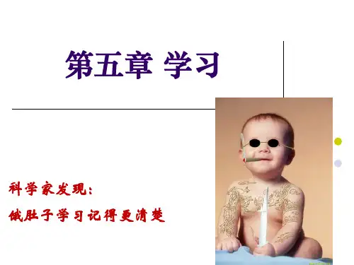 强化和惩罚强化类型