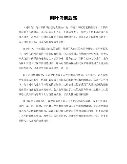 树叶鸟读后感