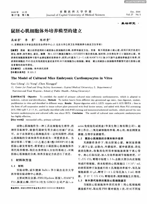 鼠胚心肌细胞体外培养模型的建立