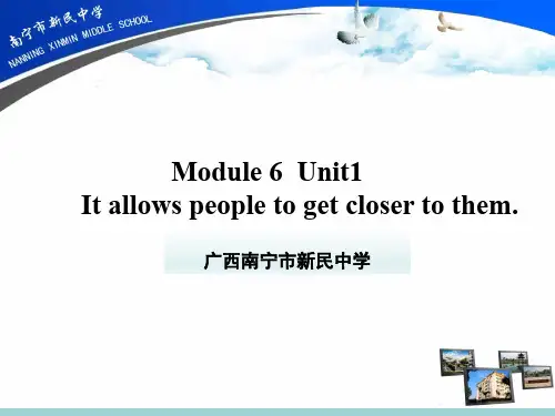 外研版英语八年级上册：Module 6 Unit 1-课件(共17张PPT)