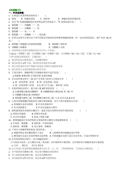 高中生物10细胞呼吸(一)有氧呼吸-巩固练习