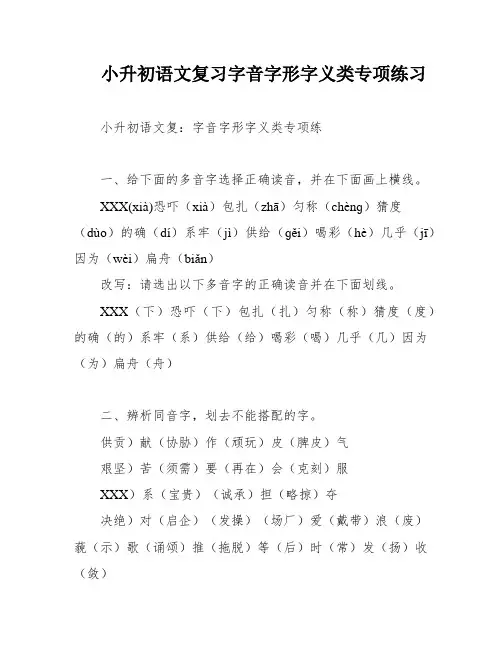 小升初语文复习字音字形字义类专项练习