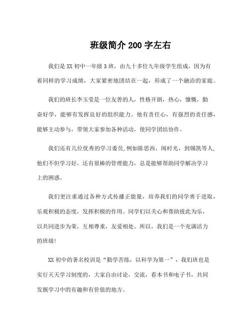 班级简介200字左右