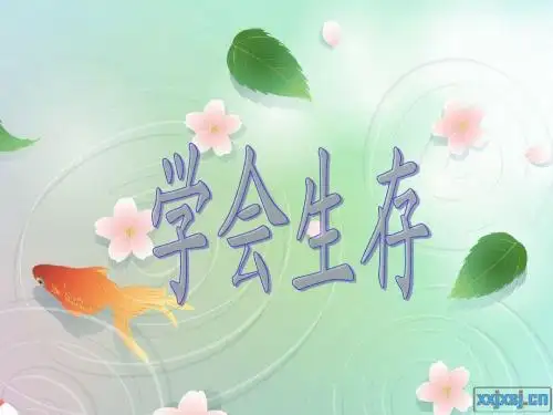 学会生存