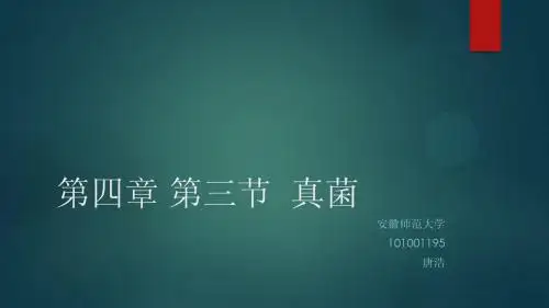 第四章 第三节  真菌
